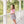 Load image into Gallery viewer, Fall Harvest Skort Set