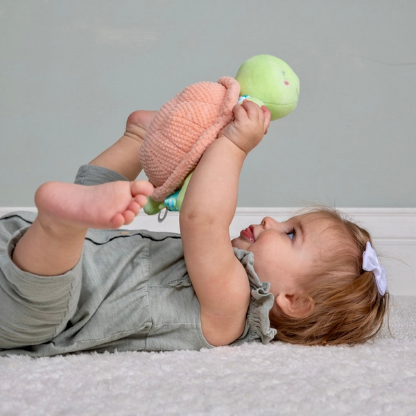 Taggies Tippy Turtle Soft Toy