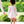 Load image into Gallery viewer, Charleston Stripe Evie Bloomer Set