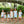 Load image into Gallery viewer, Pumpkin Stack Short Set
