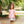 Load image into Gallery viewer, Fall Harvest Skort Set