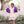 Load image into Gallery viewer, Game Day Pleat Dress- Yellow Stripe