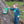 Load image into Gallery viewer, Garbage Truck Applique Romper
