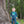 Load image into Gallery viewer, Garbage Truck Applique Romper