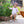Load image into Gallery viewer, Charleston Stripe Evie Long Sleeve Bubble