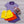 Load image into Gallery viewer, Mallard Short Yellow