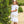 Load image into Gallery viewer, White/Ecru Heirloom Dress