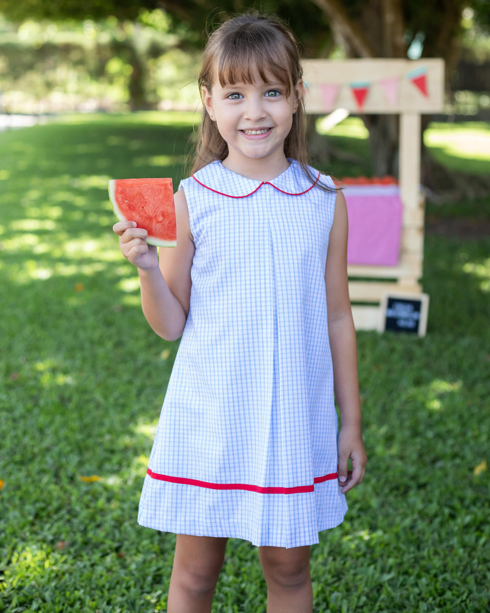 Sienna Dress- Lt. Blue Windowpane – Smock Candy