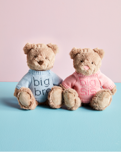 Big Bro Plush Bear