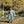Alice Dress- Evermore