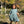 Alice Dress- Evermore
