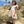 Arie Dress- Stone