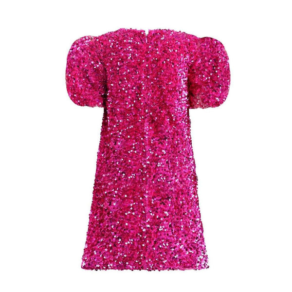 Raspberry Velvet Shimmer Dress