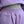 Comer Double Banded Shorts- Purple