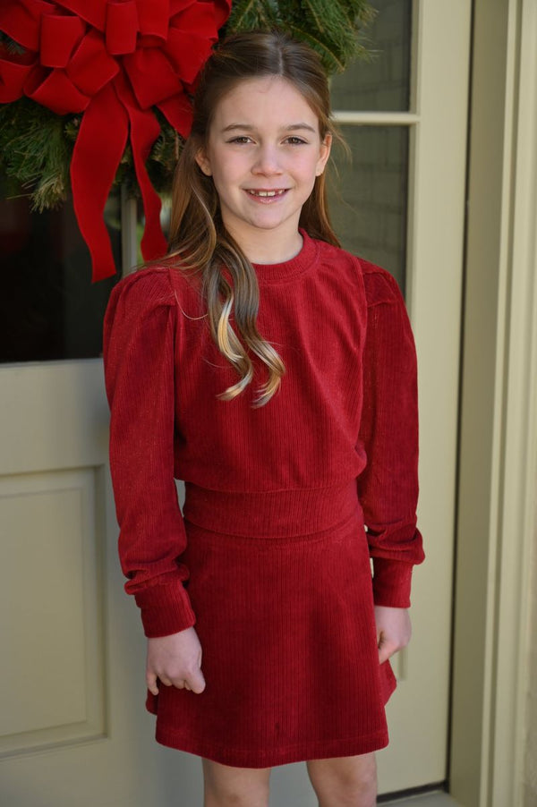 Libba Skirt- Red Velour