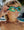 Time to Explore Swim Goggles- Green Oasis