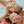 Butterfly Swim Goggles- Blushing
