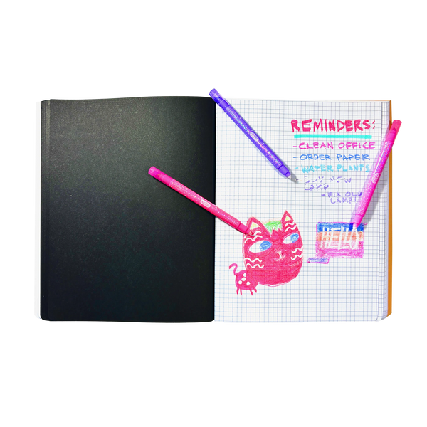 Make no Mistake! Glittery Erasable Markers- Set of 12