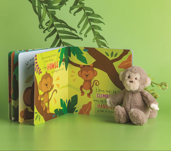 Day In the Life of Felix the Monkey Book