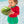 Watermelon Skirted One Piece Rash Guard Swimsuit