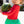 Watermelon Skirted One Piece Rash Guard Swimsuit