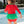 Watermelon Skirted One Piece Rash Guard Swimsuit