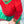 Watermelon Skirted One Piece Rash Guard Swimsuit