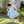 Peri Petals Dress
