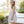 Princeton Plaid Dress
