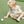 Buttercup - Romper