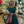 Tartan Plaid- Dress