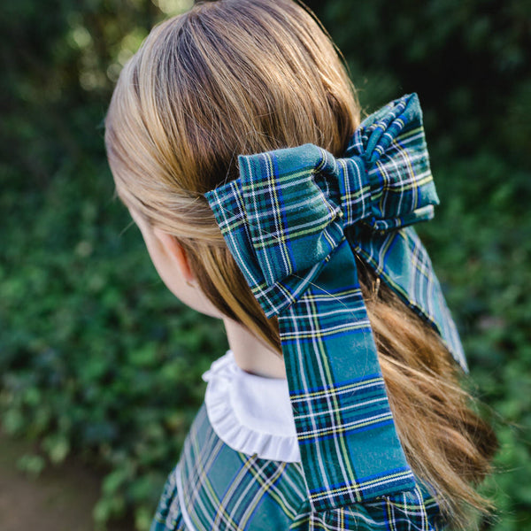 Sleigh Ride Big Hair Clip