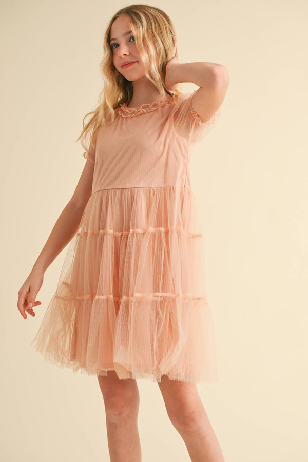 Puff Sleeve Tiered Mesh Dress