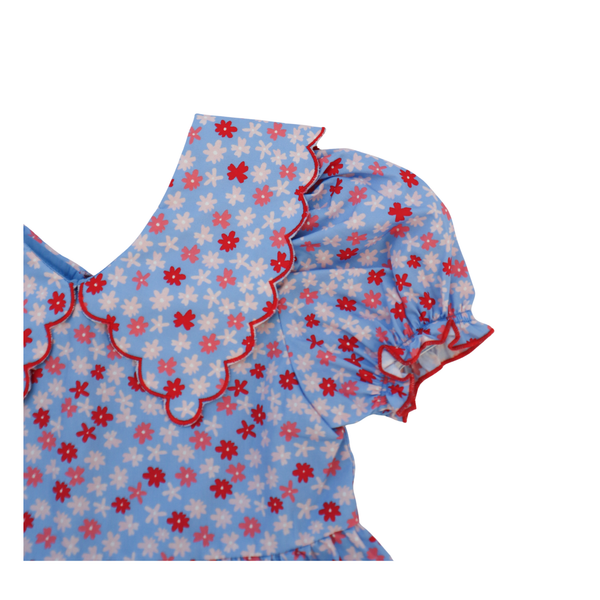 Conley Dress- Ditsy Floral