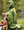T-Rex Hooded Cape- Green