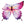 Ombre Butterfly Soft Wings