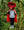 Triceratops Hooded Cape- Red