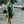 T-Rex Hooded Cape- Green