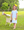 Crayon Pocket Applique Dress