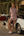 Gingham Half-Zip Pullover Skort Set- Mauve