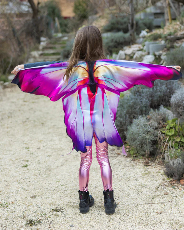 Ombre Butterfly Soft Wings