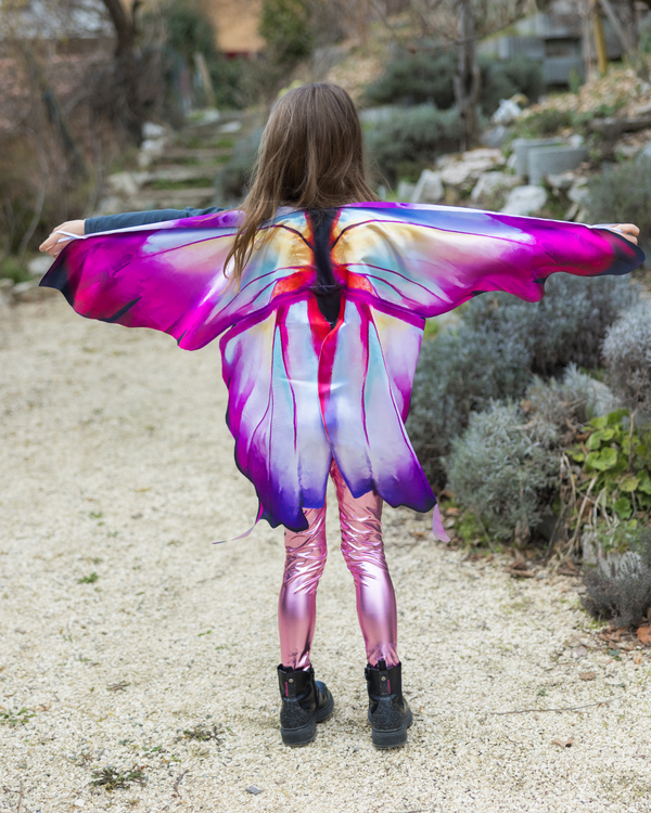 Ombre Butterfly Soft Wings