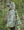 Grandasaurus T-Rex Cape with Claws