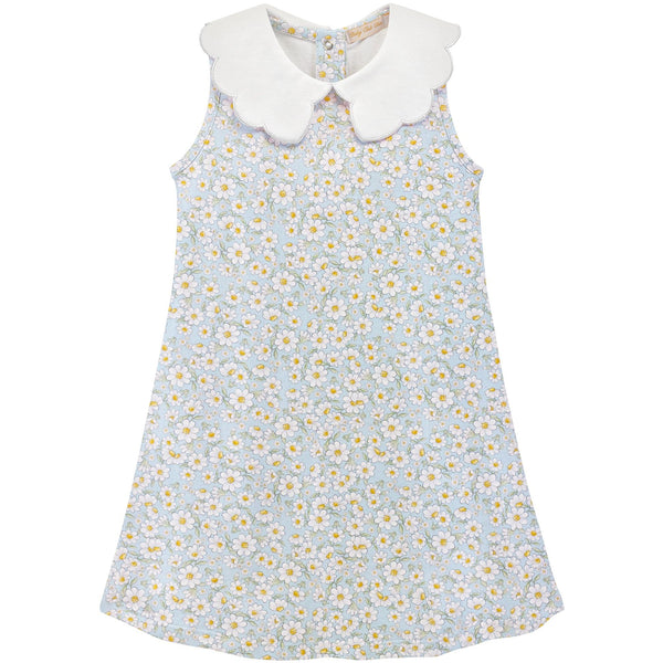 Daisy Dreams Dress
