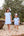 Sarah Dress Cornflower Blue Stripe