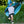 Pterodactyl Hooded Cape- Blue