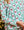 Annie Shorts Set- Wreath & Ribbon (Women's)