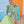 India LS Top- Greenwich Garden Green