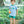 Harvest Ride Short Set