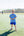 Football Trio Shirt- Royal Blue Stripe